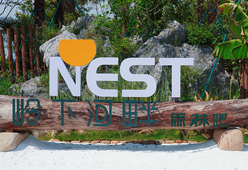 岭下河畔·NEST雨林吧第 1 张图片