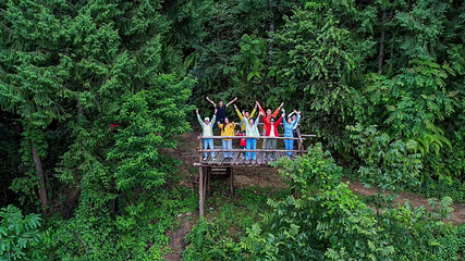 高黎贡山阿咪莫雨林景区第 7 张图片