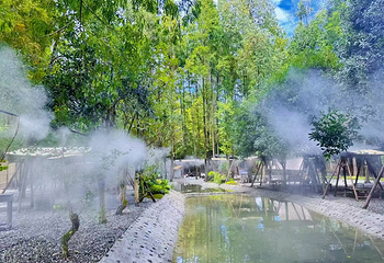 清水里森林营地第 7 张图片