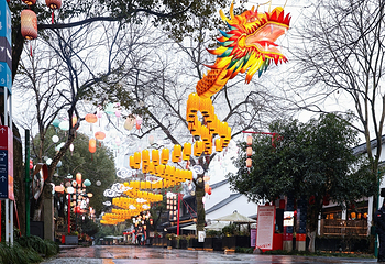 西溪国家湿地公园第 62 张图片