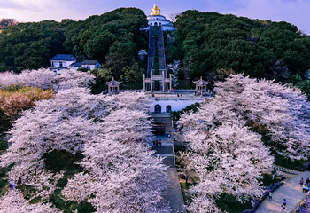 苏州上方山国家森林公园第 8 张图片
