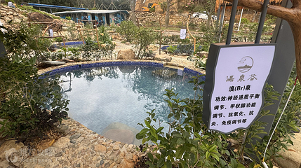 汤溪汤泉谷温泉第 5 张图片