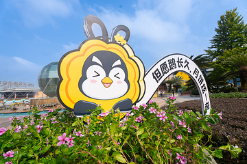 长沙海底世界第 11 张图片