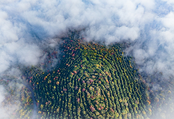 虞山文化旅游度假区第 15 张图片
