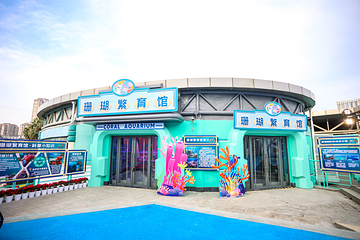 海合安武汉极地海洋公园第 134 张图片