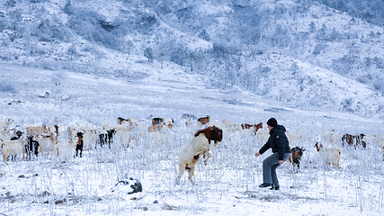 红池坝国际滑雪度假村第 4 张图片