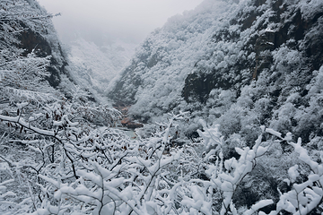 河南宝泉旅游区-宝泉崖天下景区第 49 张图片