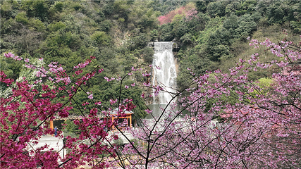王仙岭旅游风景区第 26 张图片