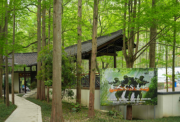 东明山森林公园第 19 张图片