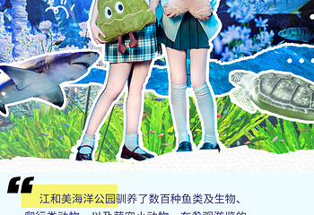 江和美海洋公园第 8 张图片