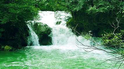 古龙山大峡谷第 37 张图片