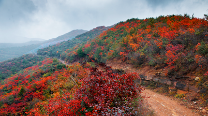 黛眉山景区第 57 张图片