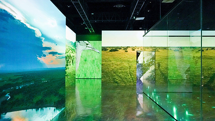 ARTE MUSEUM 成都第 14 张图片