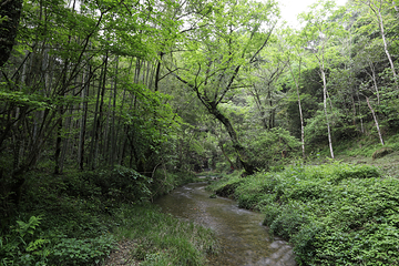 五溪山大峡谷第 8 张图片
