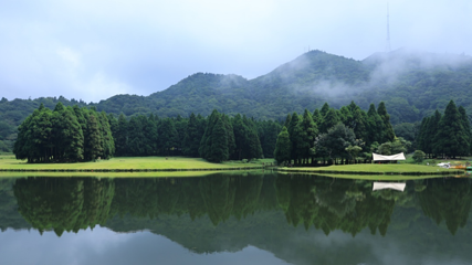 大容山国家森林公园第 18 张图片