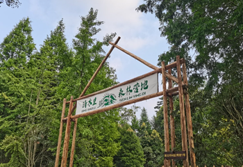 清水里森林营地第 1 张图片