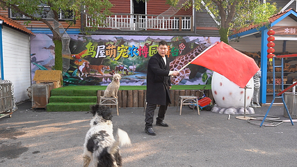 鸟屋乐园第 24 张图片
