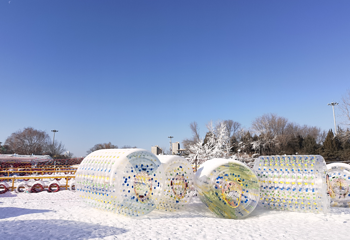 瑞美冰雪大世界第 5 张图片