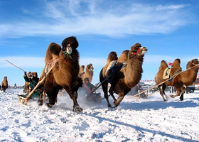 亚布力(哈尔滨)国际滑雪场