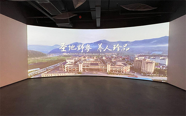 中国清河澳洋野山参国际交易市场第 11 张图片
