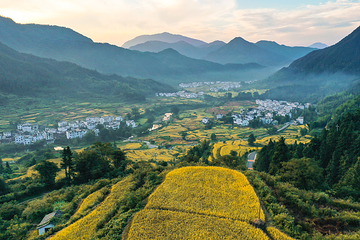 江岭景区第 27 张图片