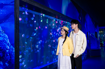 海合安成都极地海洋公园第 144 张图片