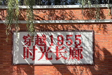 1955国营农场第 11 张图片