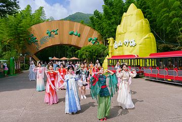 天目湖南山竹海第 18 张图片