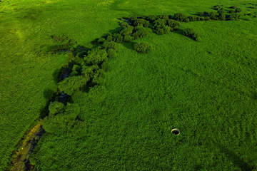 坝上京北第一草原景区第 39 张图片