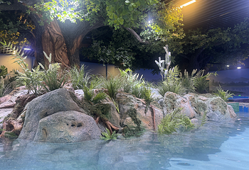 杭州西溪水族公园第 8 张图片