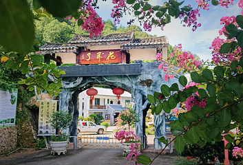 花开了生态景区第 1 张图片