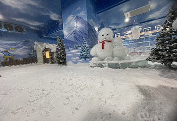 四季漫天冰雪主题乐园第 10 张图片