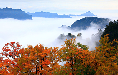 光雾山旅游景区第 46 张图片