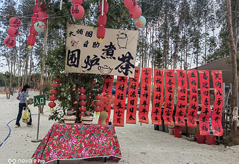 大埔围美丽乡村景区第 15 张图片