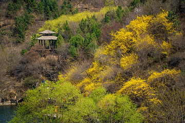 九如山休闲旅游度假区第 235 张图片