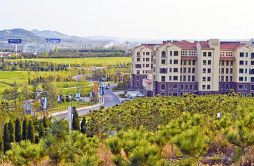 泰生小镇旅游景区第 31 张图片