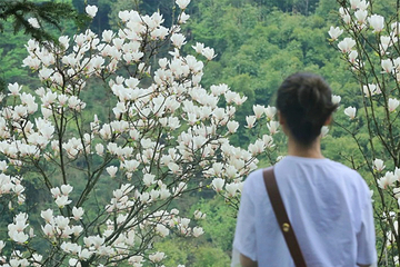 天府花溪谷第 41 张图片