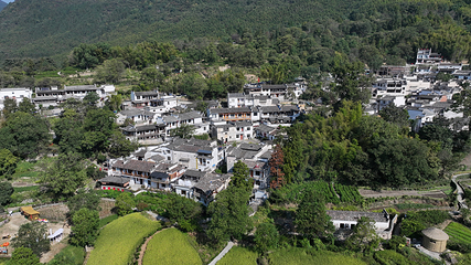 塔川第 86 张图片