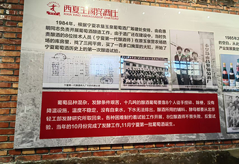 西夏王玉泉国际酒庄第 40 张图片