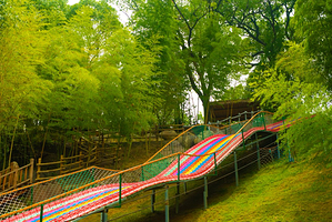 山里人家·鹿野湾森林牧场