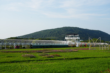 西山岛开心农场第 41 张图片
