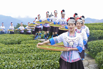 仙人山景区第 19 张图片