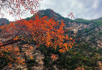 郑国渠旅游风景区第 73 张图片