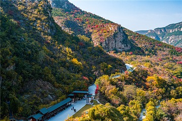 青铜山大峡谷第 69 张图片