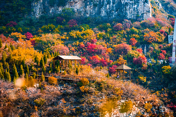 青铜山大峡谷第 91 张图片