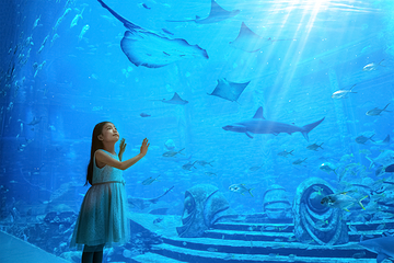 三亚亚特兰蒂斯失落的空间水族馆第 80 张图片