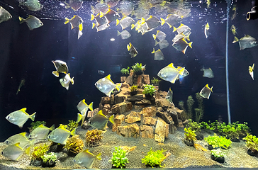 临汾海昌海洋探索馆第 63 张图片