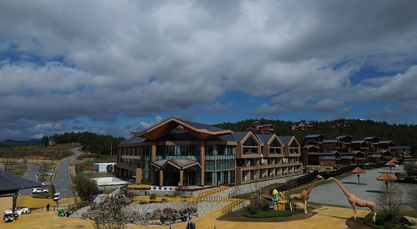 南阳长颈鹿欢乐世界