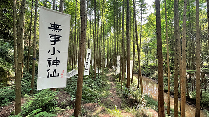 峨眉山归园田居萌宠乐园第 10 张图片