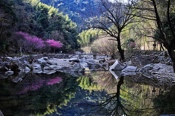 浙东小九寨第 8 张图片